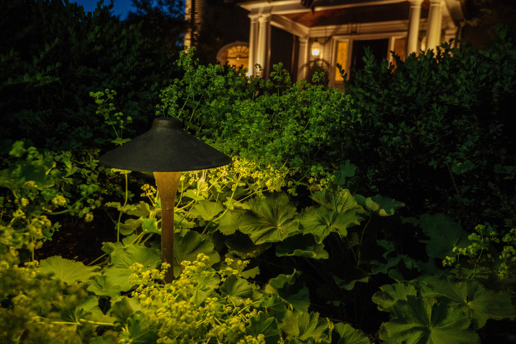 cast-bronze-light-w-patina-among-alchemilla-1024x683