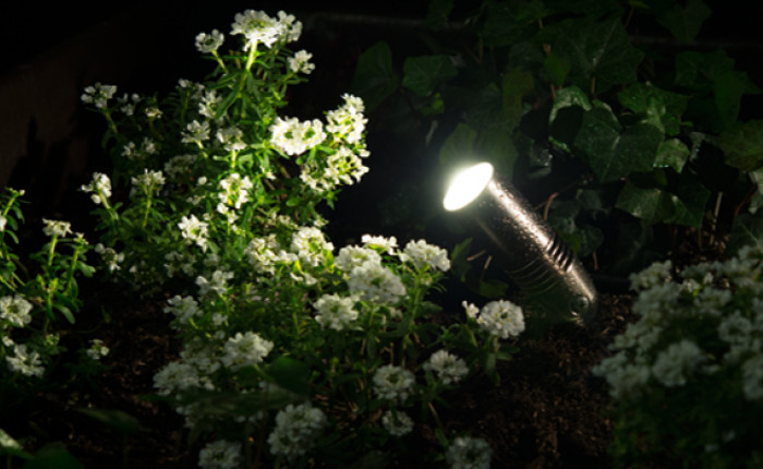 stainless-steel-uplight